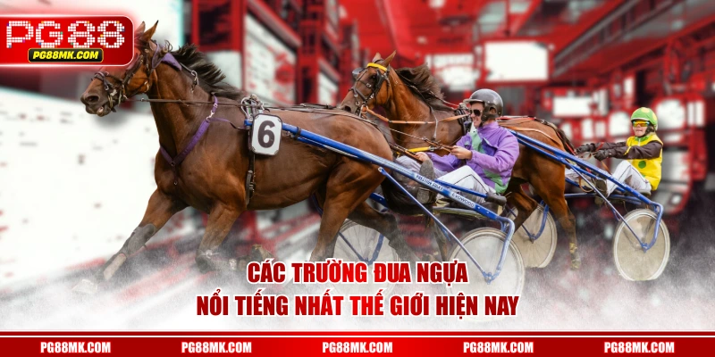 Các trường đua ngựa nổi tiếng nhất thế giới hiện nay
