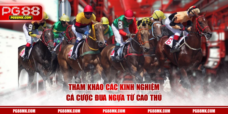 Tham khảo các kinh nghiệm cá cược đua ngựa từ cao thủ